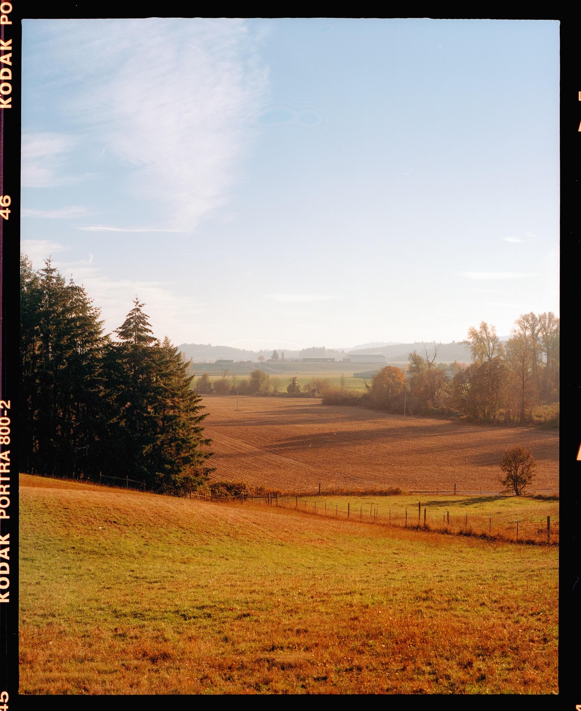 A vast agricultural landscape with fields and trees under a bright sky.