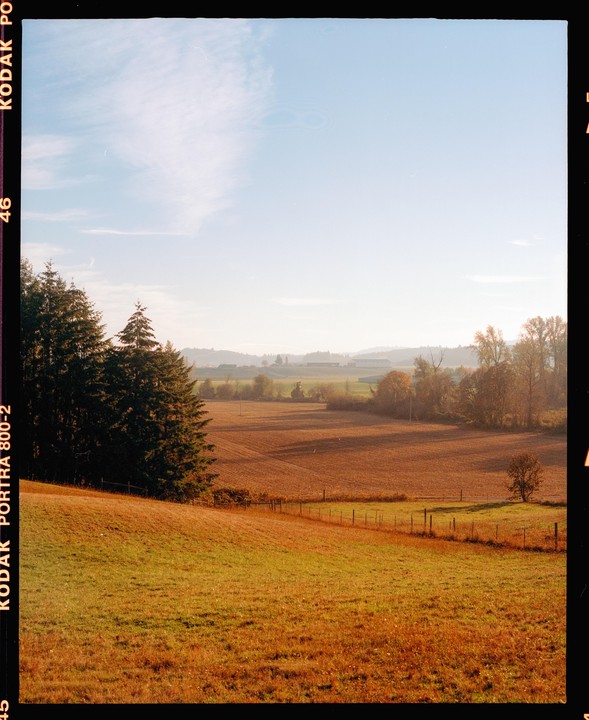 A vast agricultural landscape with fields and trees under a bright sky.
