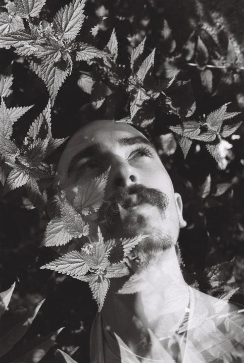 A man with a mustache and beard looks up, surrounded by leaves in a double exposure.