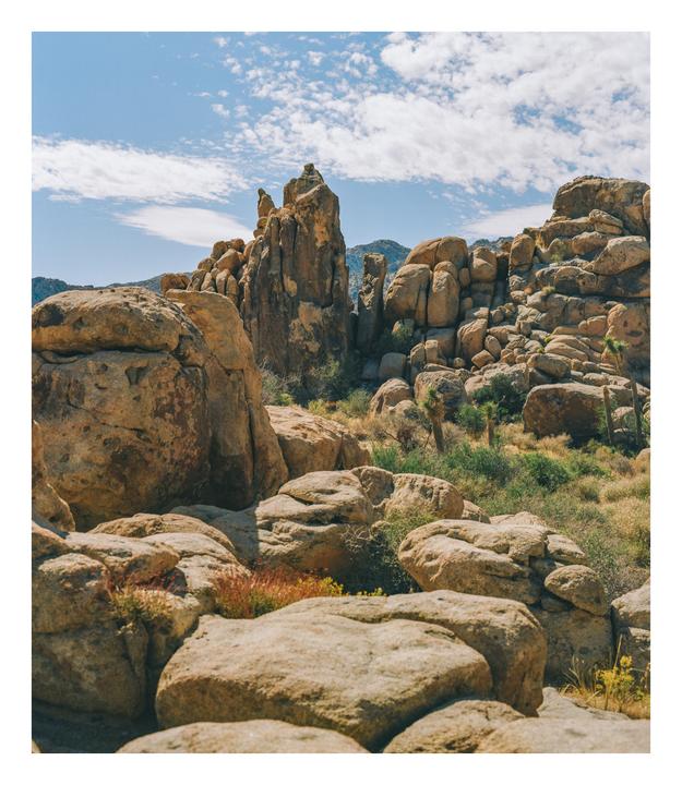 A field of large boulders and desert plants sits under a blue sky with scattered clouds.