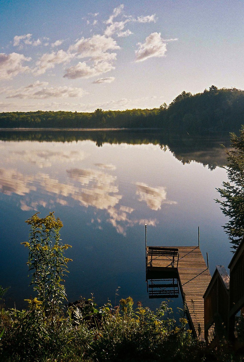 A wooden dock extends into a calm lake, reflecting the sky and clouds, with a forested shoreline in the distance.