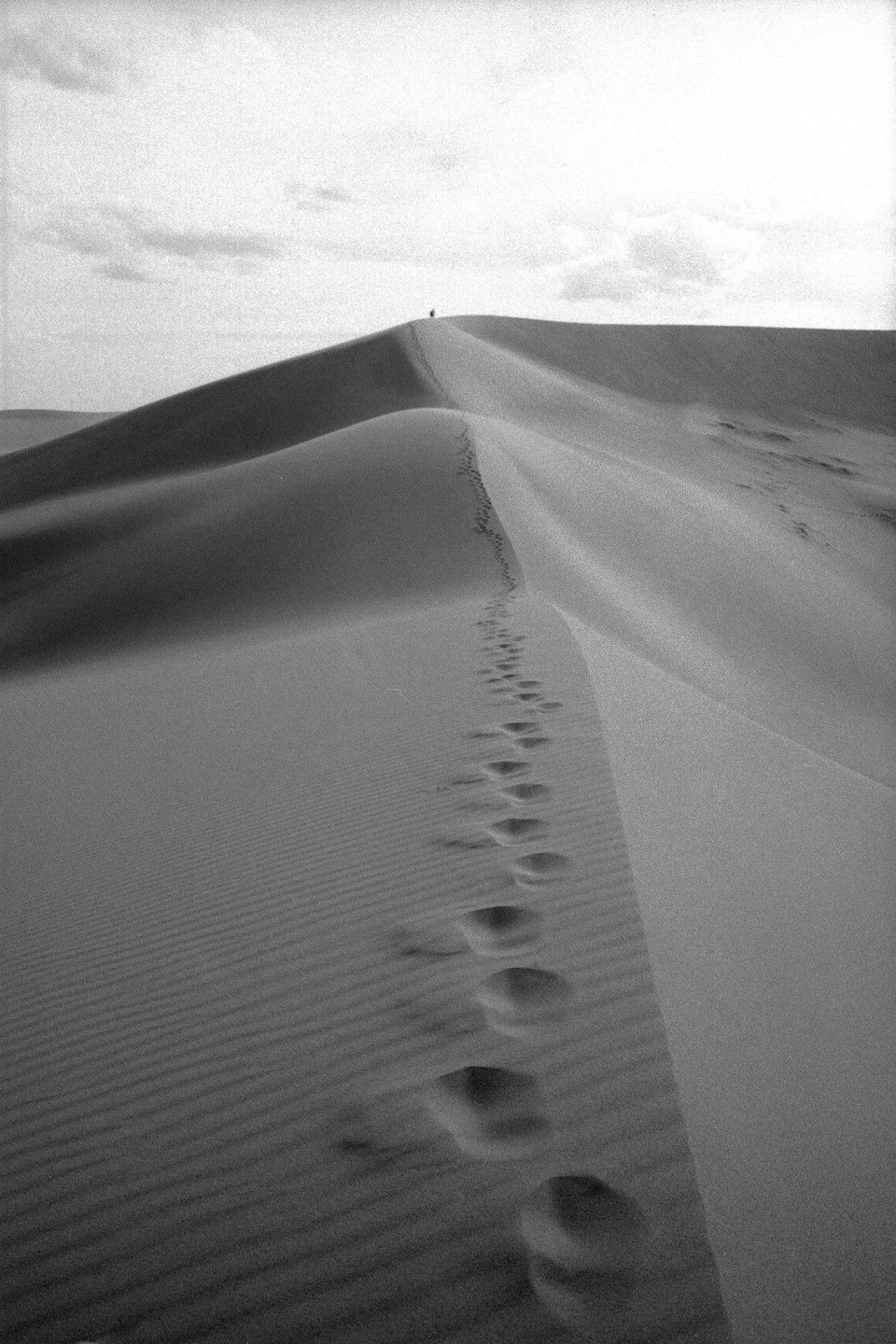 A person stands atop a vast sand dune with footprints leading up to them.