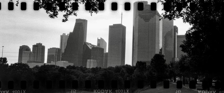 A panoramic view of a city skyline with numerous skyscrapers rising above a line of trees, framed by dark foliage at the top and bottom.