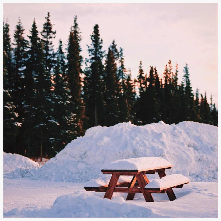 A wooden picnic table is covered in snow in front of a forest of pine trees and a large snowdrift.