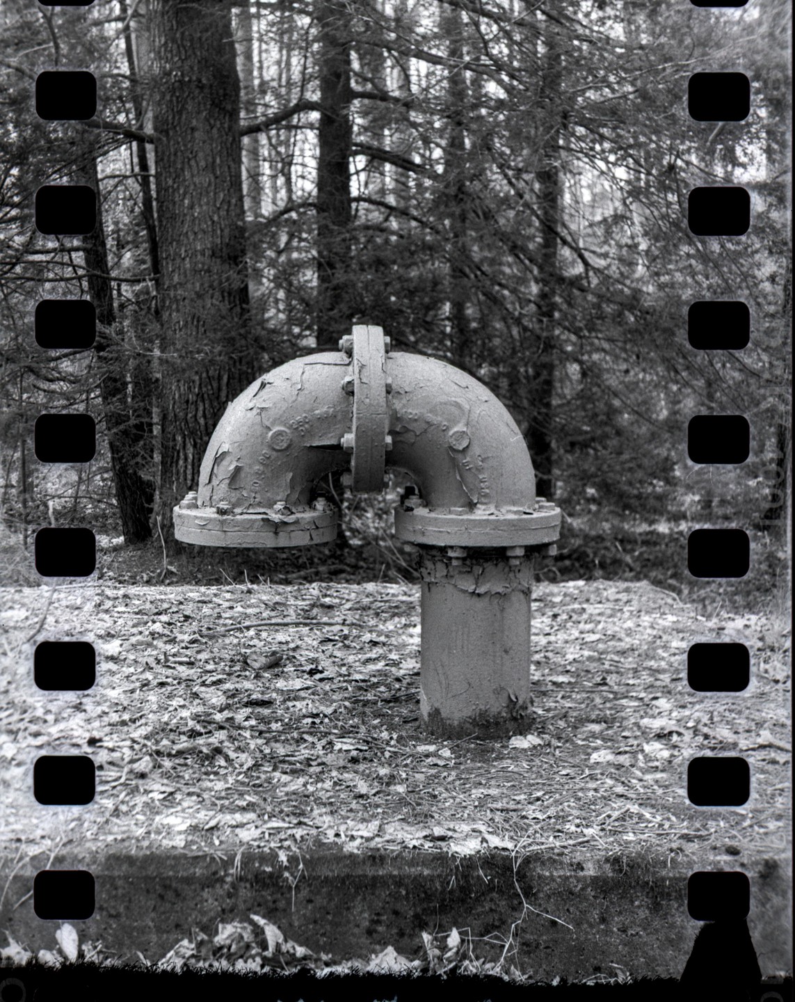 A curved pipe with peeling paint stands on a concrete base in a forest.