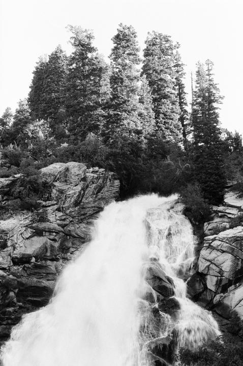 A powerful waterfall cascades over rocks surrounded by tall evergreen trees.