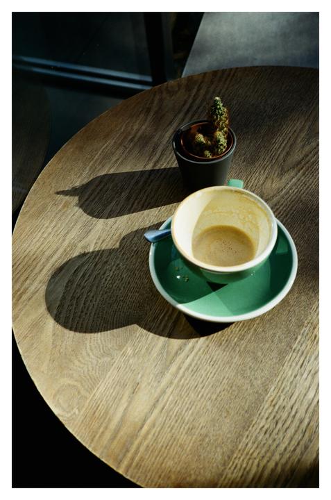 An empty coffee cup and a small potted cactus sit on a wooden table, illuminated by sunlight.