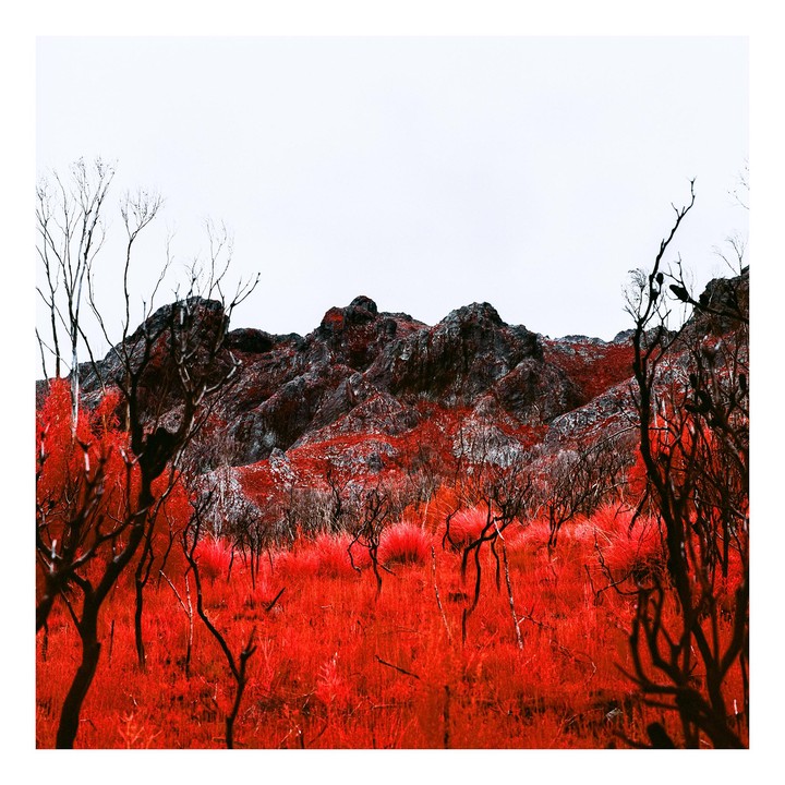 A mountain landscape shows red foliage and dark, bare trees against a white sky.