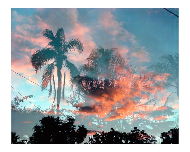 A double exposure shows palm trees and other trees silhouetted against a sky with pink and blue clouds.