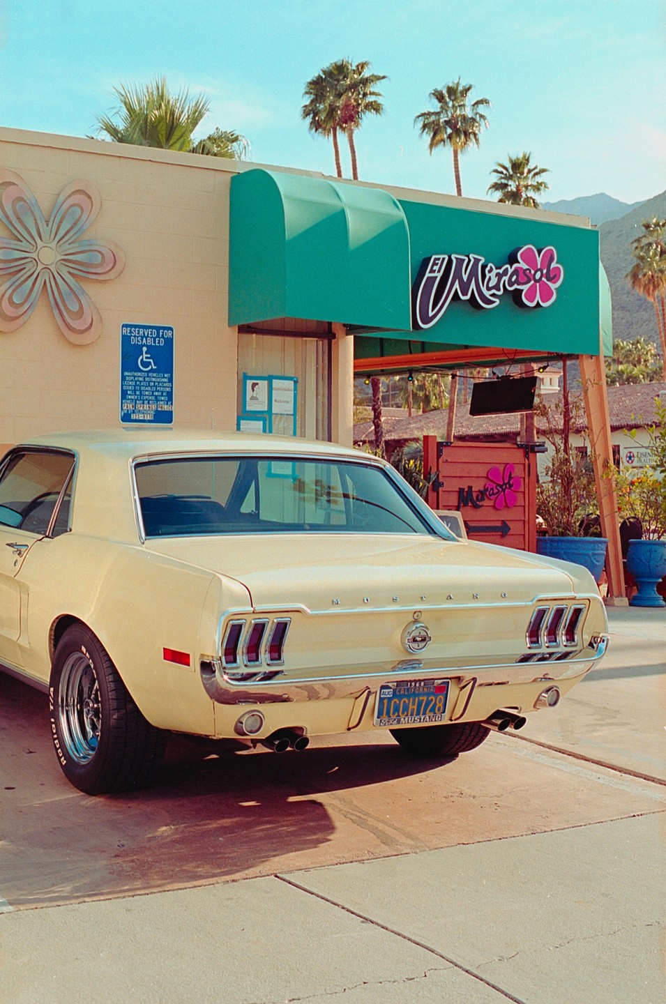 A yellow Mustang is parked in front of a building with a green awning and palm trees.