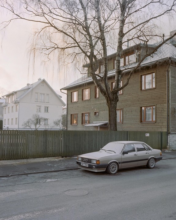 A beige car is parked on a street in front of a wooden fence and a large tree, with two houses visible in the background.