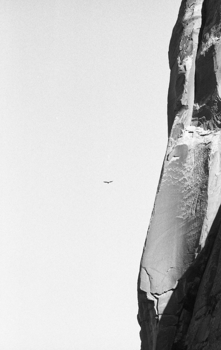 A bird flies in a bright sky next to a large rock formation.