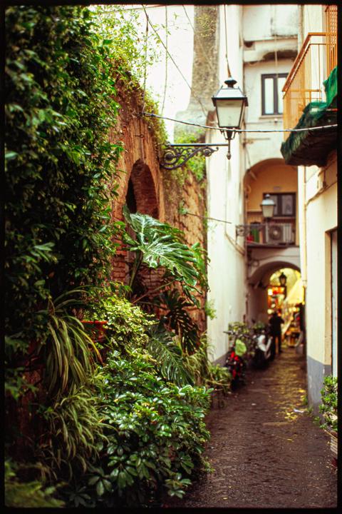 A narrow, wet alleyway in Sorrento is lined with lush green plants and old brick walls.