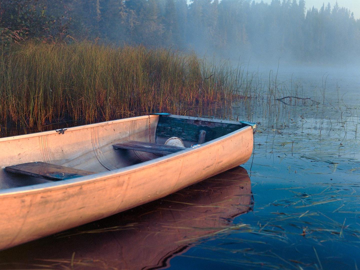 A canoe floats on a misty lake surrounded by tall grass and a forest.