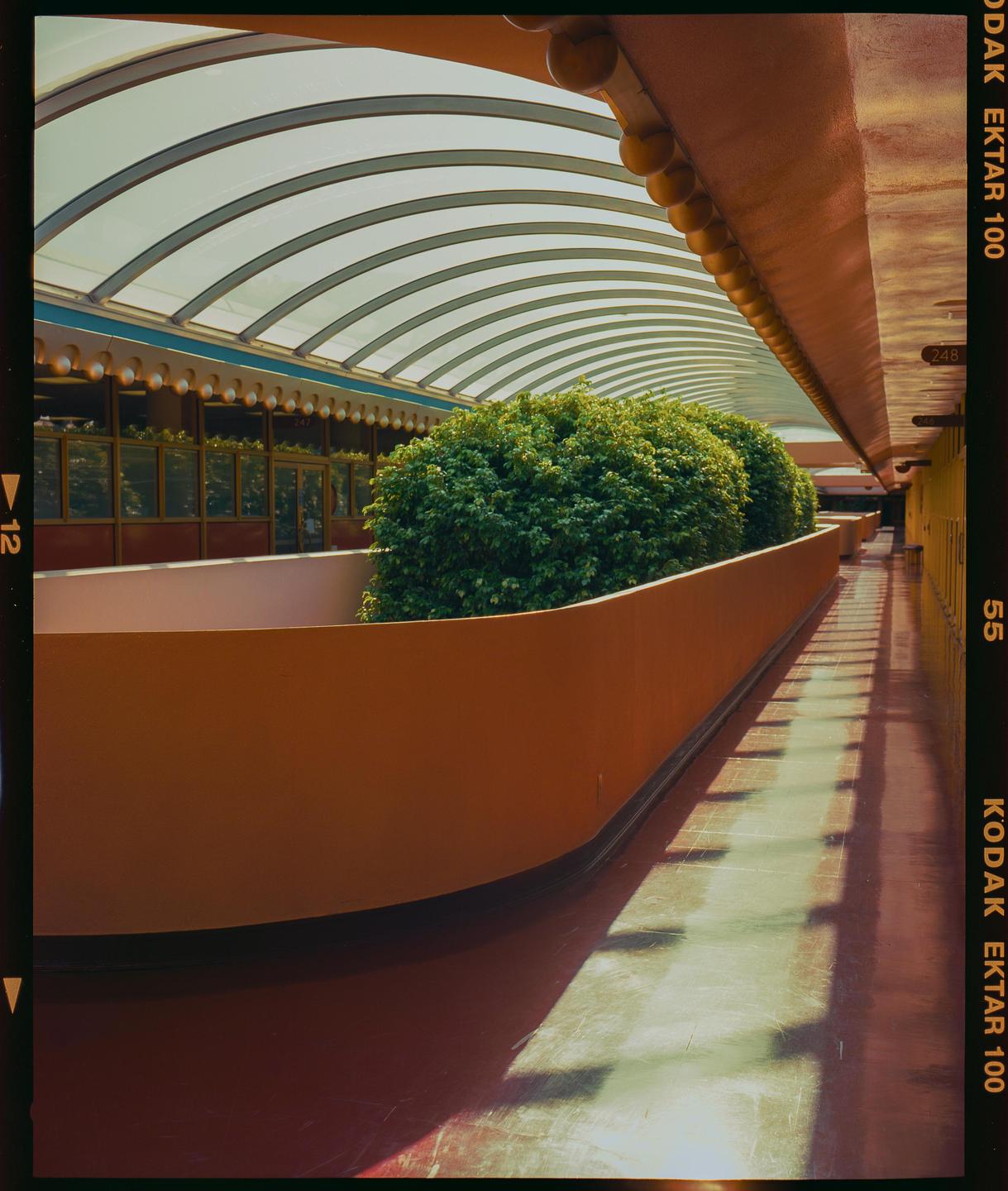 A long, curved planter filled with green bushes sits under a translucent arched roof, casting shadows on the floor.