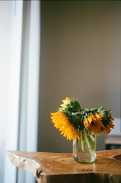 Three sunflowers in a glass jar sit on a wooden table next to a window.
