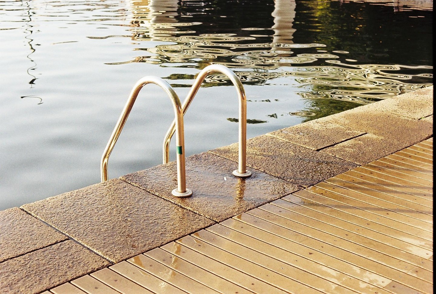 A metal ladder extends into the water from a wooden and stone dock.