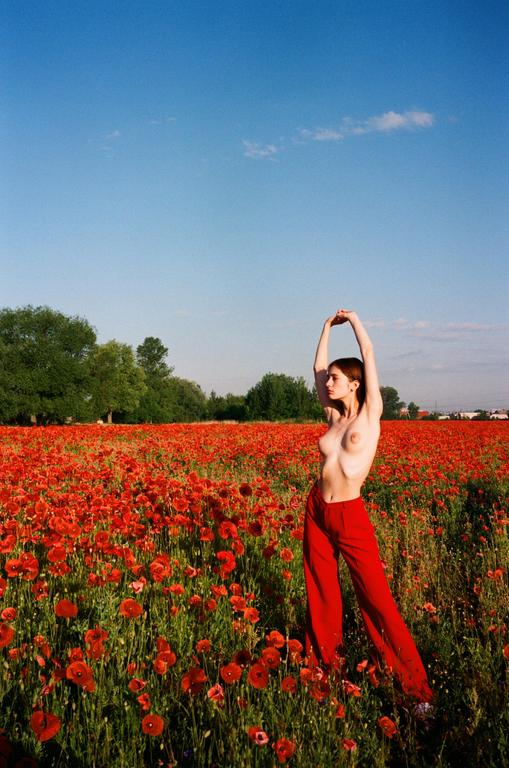 A woman with her arms raised stands in a field of red poppies under a clear blue sky.