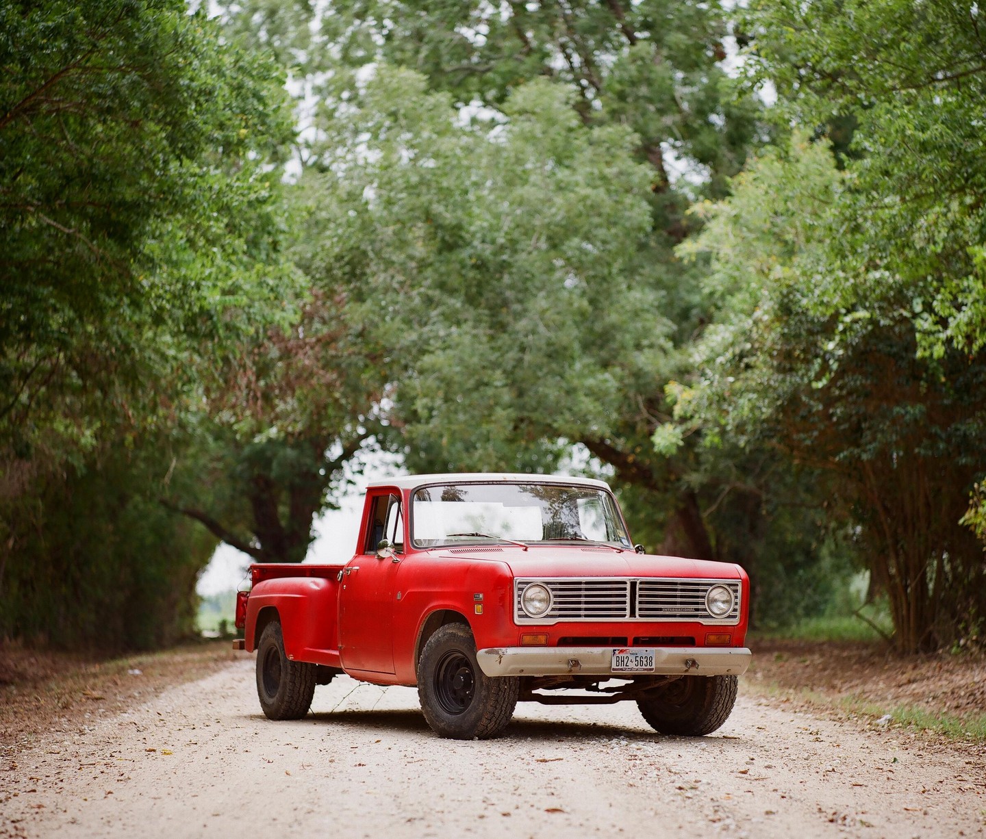 A red pickup truck is parked on a dirt road surrounded by green trees.