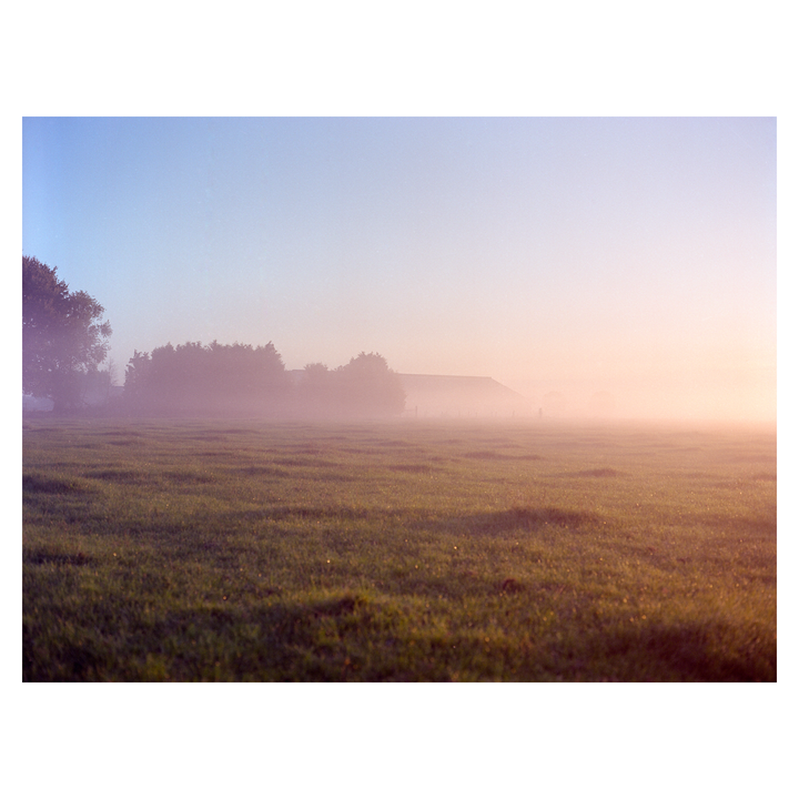 A field of grass is covered in fog with trees and a building in the distance.