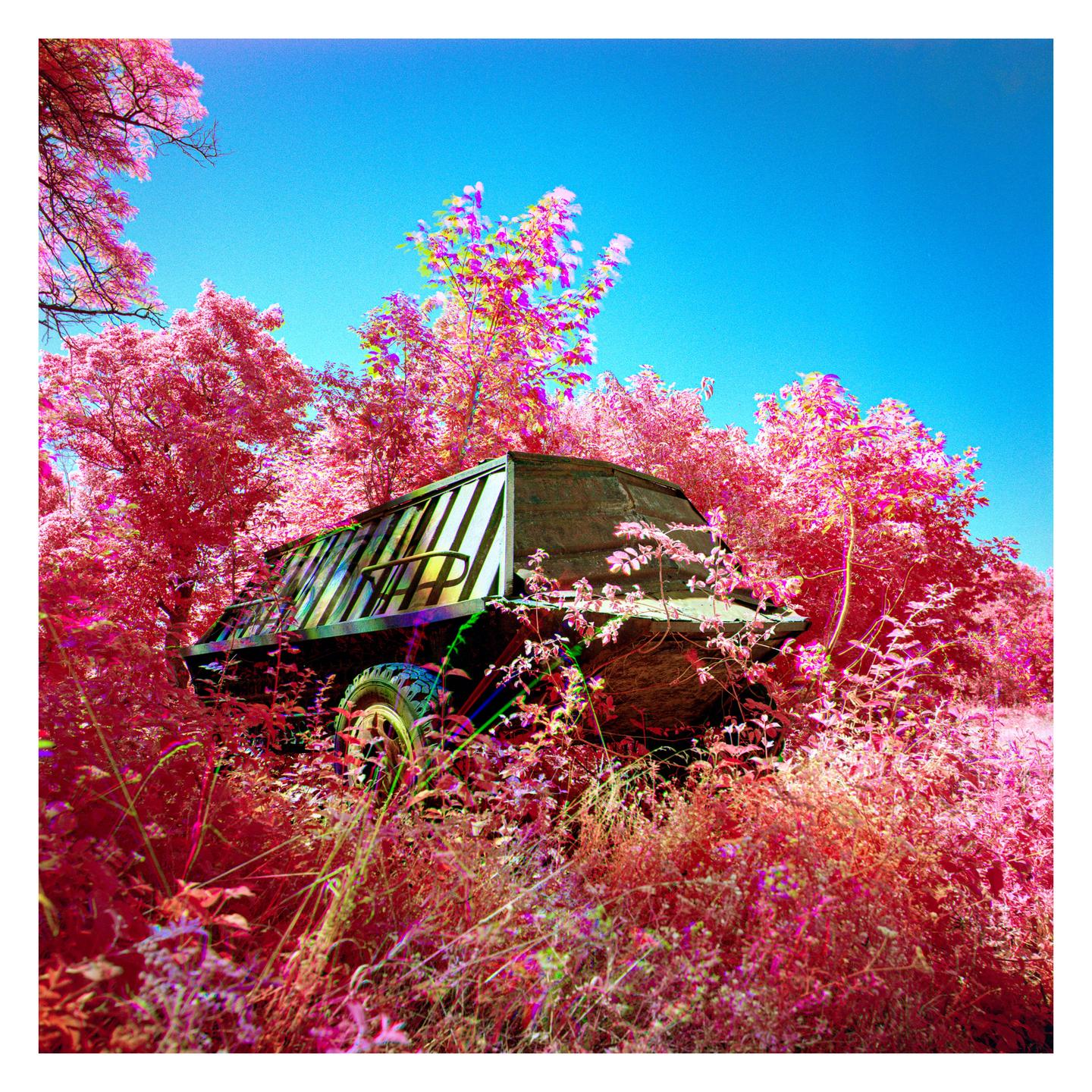 A vehicle is parked in a field of bright pink foliage under a clear blue sky.