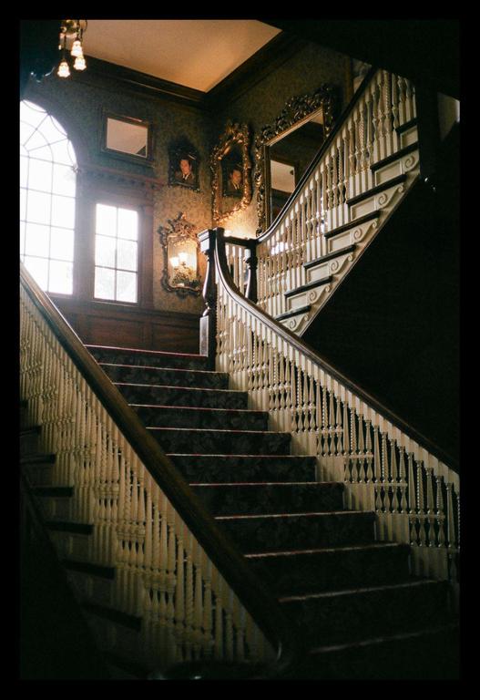 A grand staircase with ornate railings and dark patterned carpet leads up to a landing with a large window and several framed mirrors.