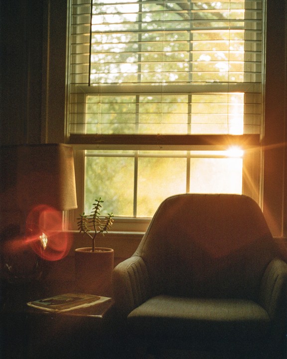 Sunlight streams through a window with blinds, illuminating a chair, a potted plant, and a lamp.