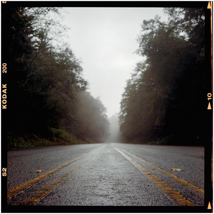 A wet road with yellow lines leads into a hazy forest.