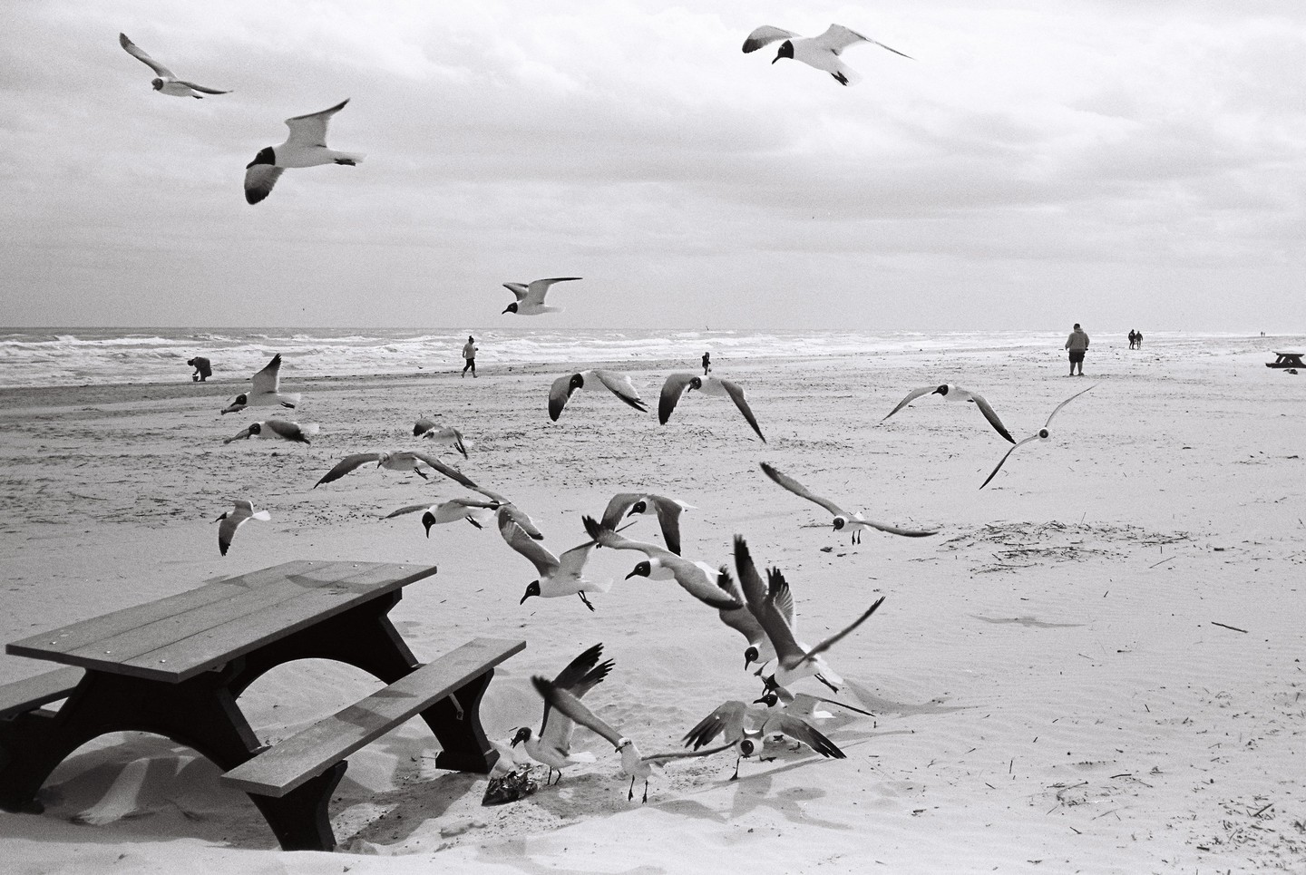A flock of seagulls flies over a sandy beach with a picnic table and people in the distance.
