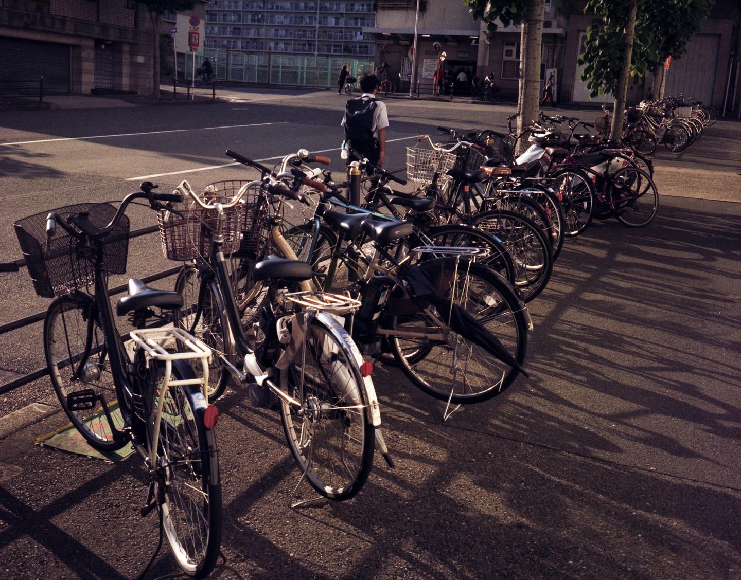 A row of bicycles is parked along a street with long shadows cast across the pavement.