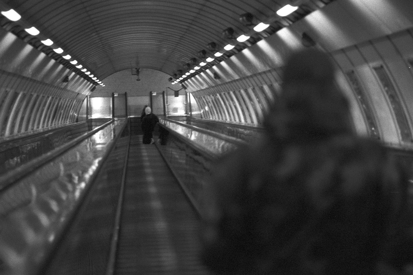 A person stands on a moving walkway in a long, curved tunnel with lights on the ceiling.