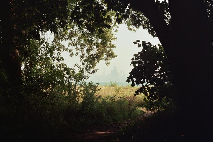 A path through dark foliage opens to a view of a distant city skyline across a body of water.