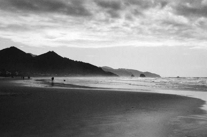 A couple and their dog walk along a wide beach with mountains in the background.