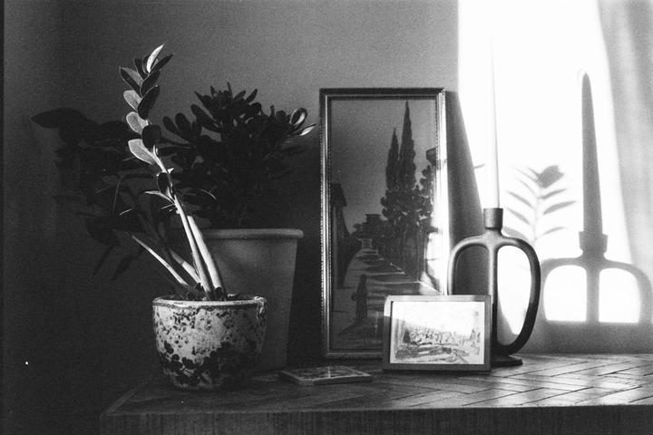Sunlight illuminates a potted plant, a framed picture, and a candle in a holder on a wooden surface.