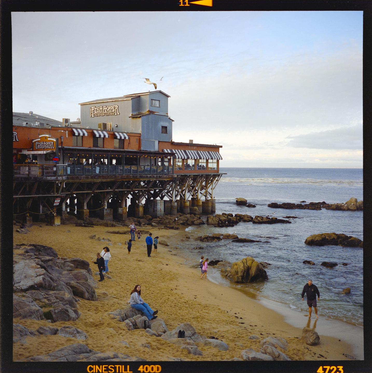 A restaurant on stilts overlooks a sandy beach with people walking and sitting near the water.