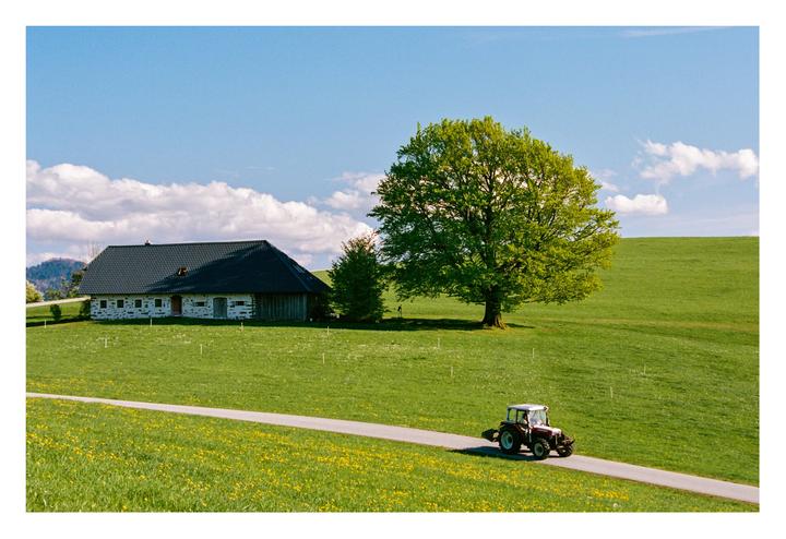 A tractor drives on a paved road through a green field with a house and a large tree under a blue sky.