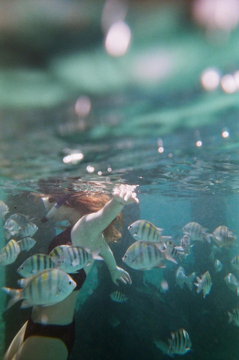 A woman wearing a snorkel mask swims underwater surrounded by many fish.
