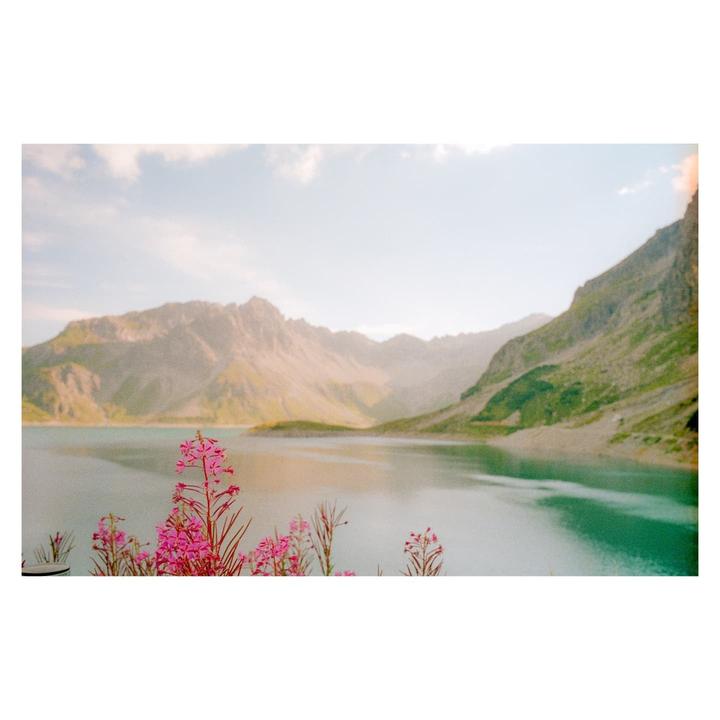 Pink flowers are in the foreground of a mountain lake with a hazy sky.