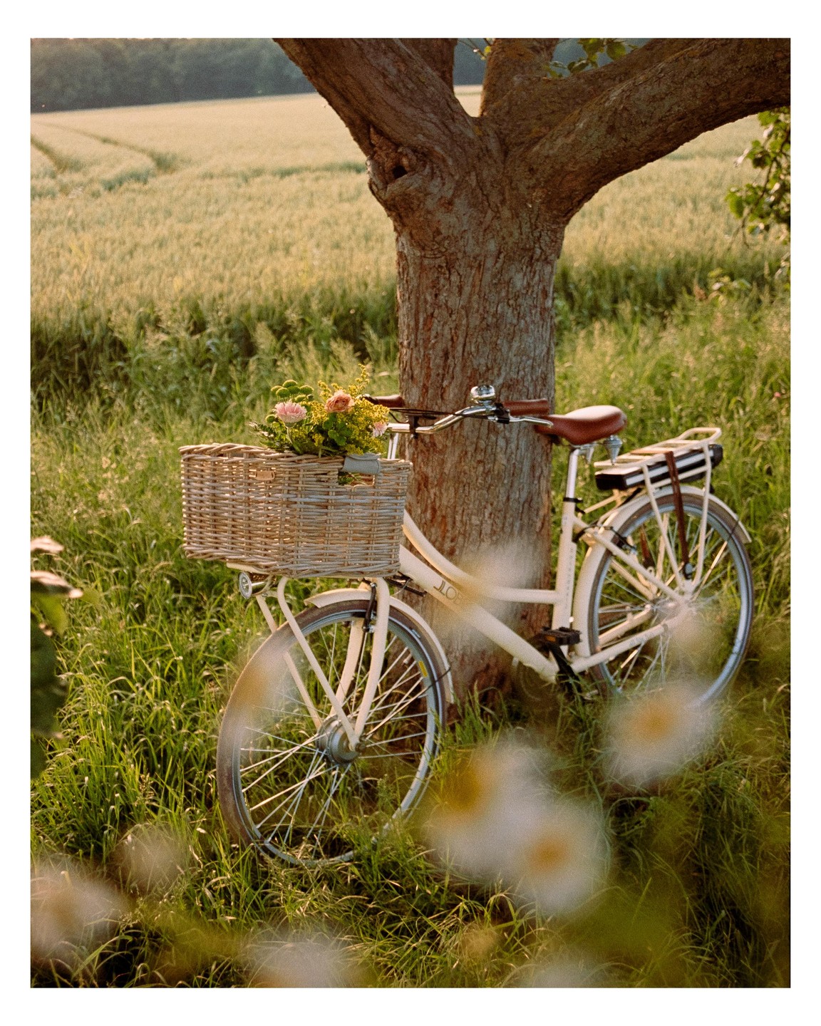 A bicycle with a wicker basket full of flowers leans against a tree in a grassy field.