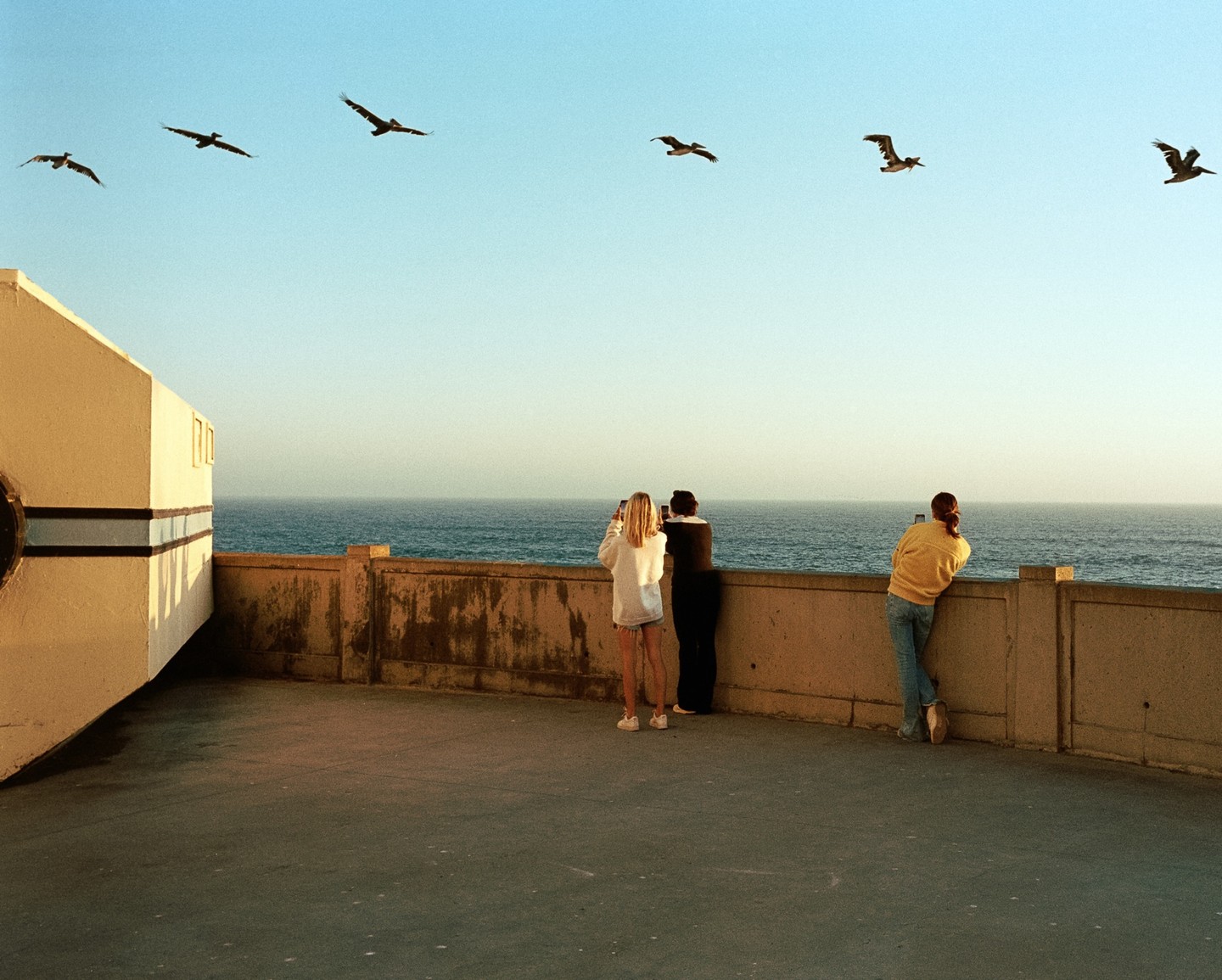 Three people stand on a concrete overlook by the ocean as a line of birds flies overhead.
