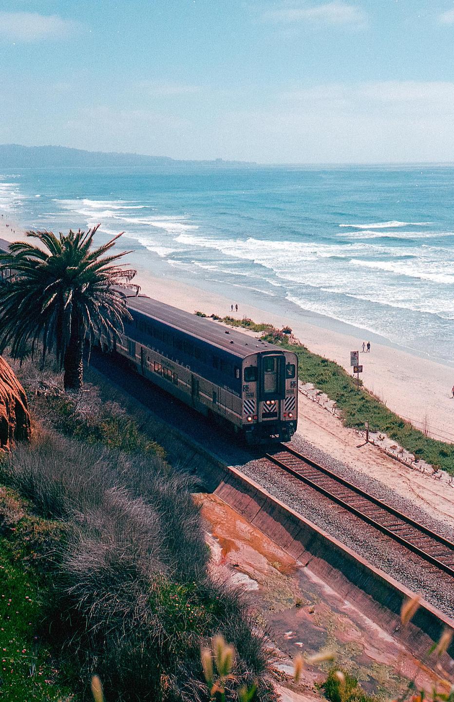 A train travels along a track next to a beach with a palm tree in the foreground.