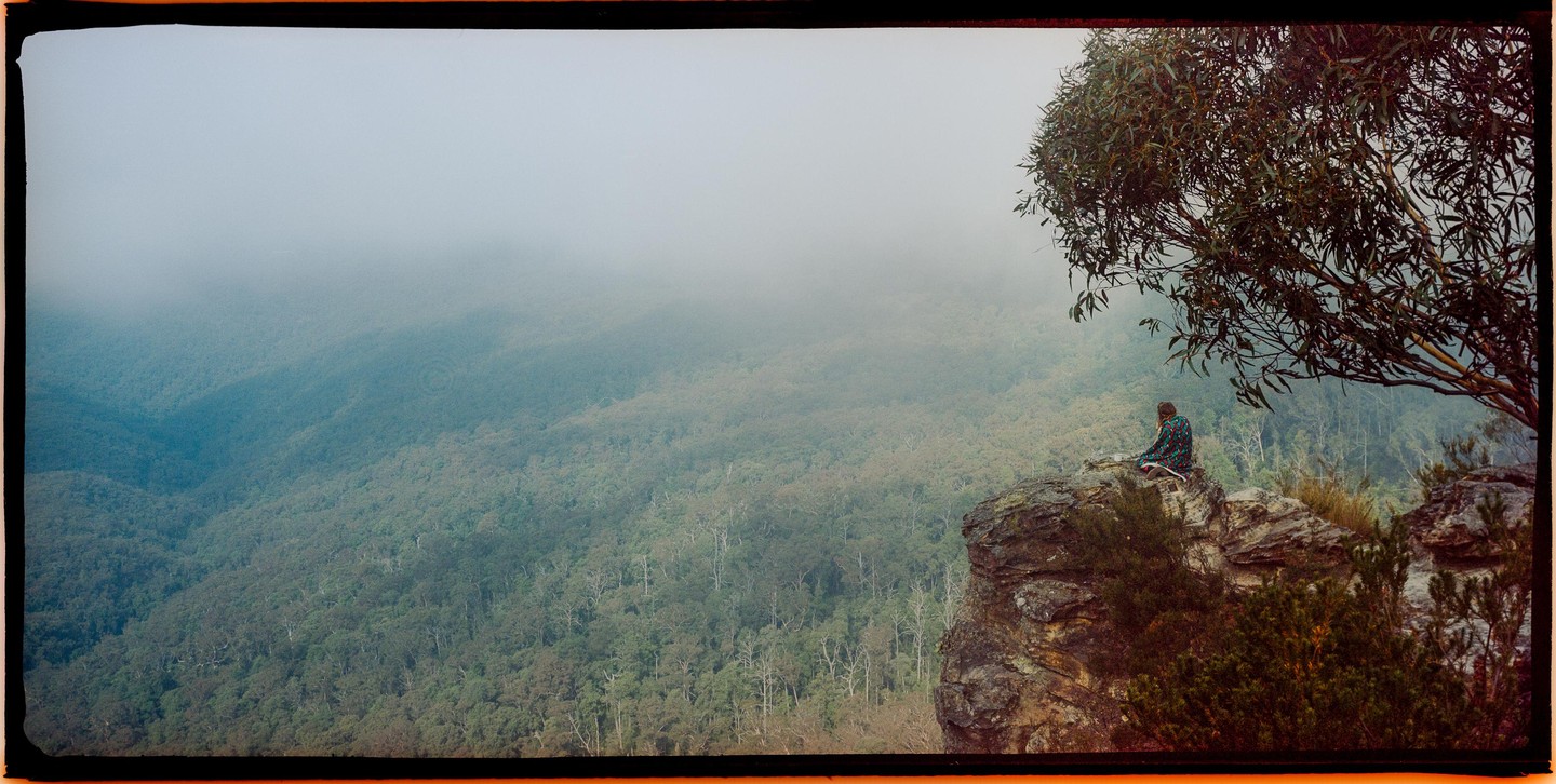 A person sits on a rocky outcrop overlooking a vast, misty forest landscape with a large tree in the foreground.