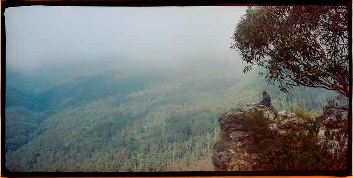 A person sits on a rocky outcrop overlooking a vast, misty forest landscape with a large tree in the foreground.