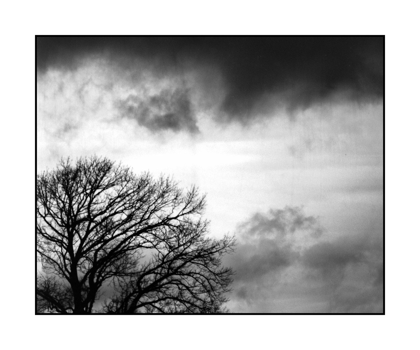 A silhouetted tree with bare branches stands against a cloudy sky.