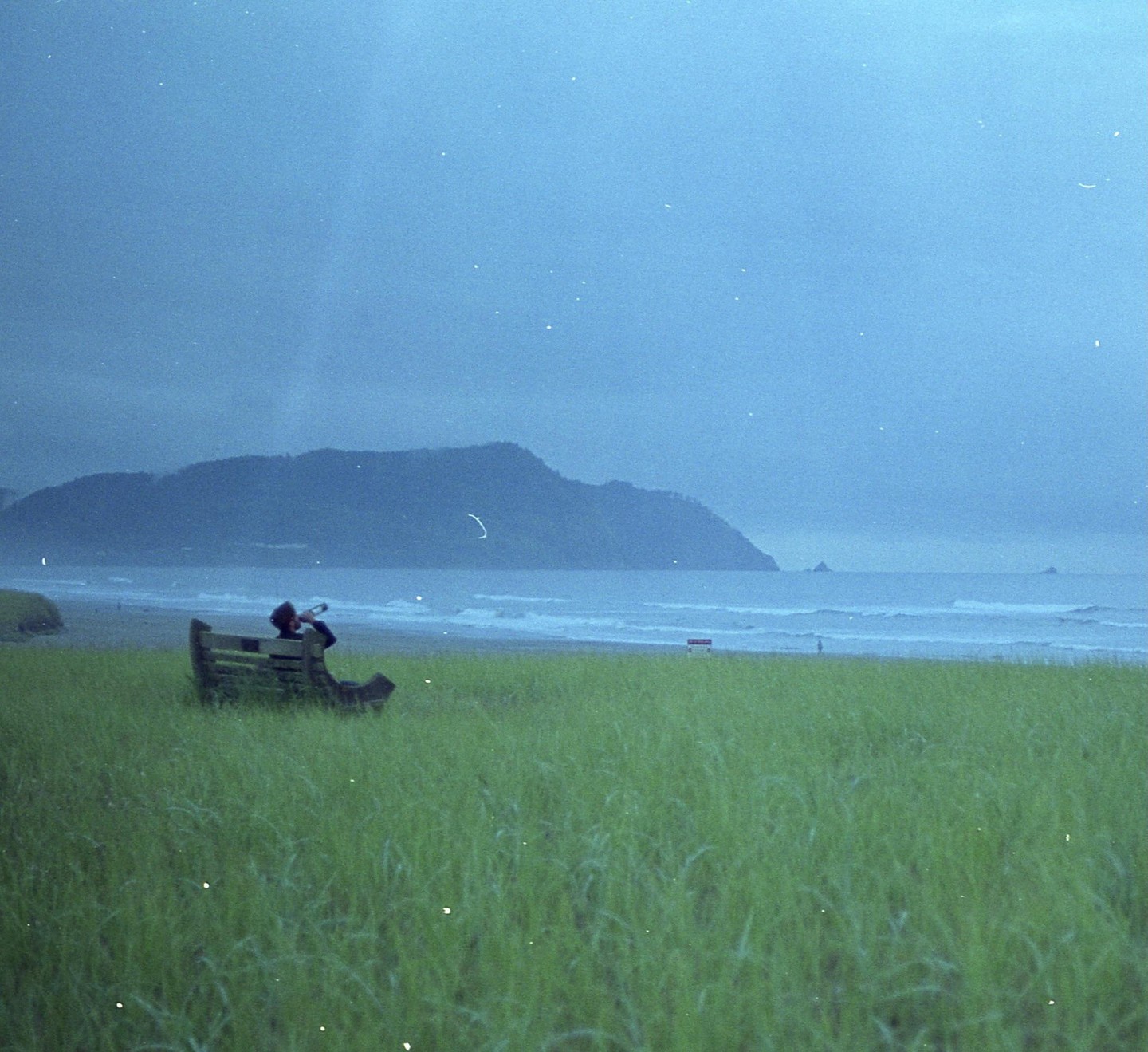A person sits on a wooden bench in a grassy field overlooking a beach with mountains in the distance under a hazy sky.