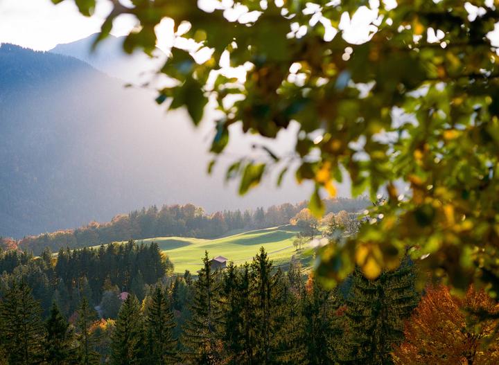 A small wooden building sits in a green field surrounded by trees with mountains in the background.