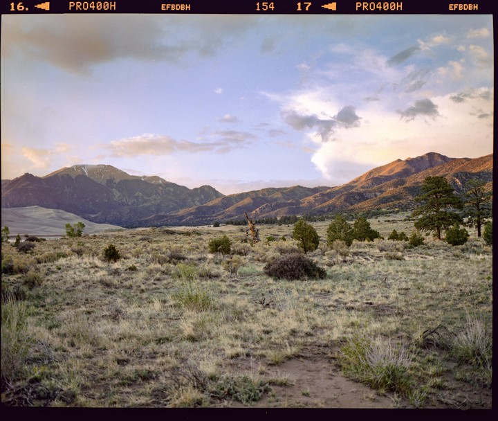 A vast landscape features mountains under a cloudy sky, with a field of dry grass and scattered trees in the foreground.
