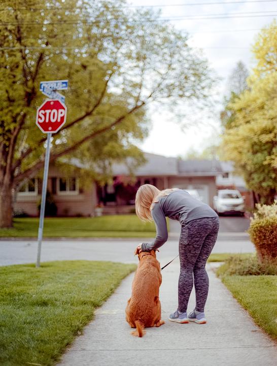 A woman bends down to pet a dog on a leash on a sidewalk next to a stop sign.