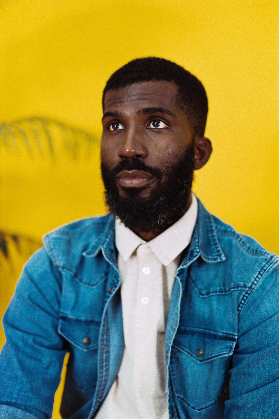 A man with a beard and a denim shirt looks up against a yellow background with a plant shadow.