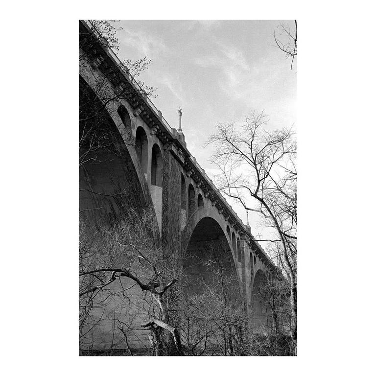 A large arched bridge with bare trees in the foreground is viewed from below.